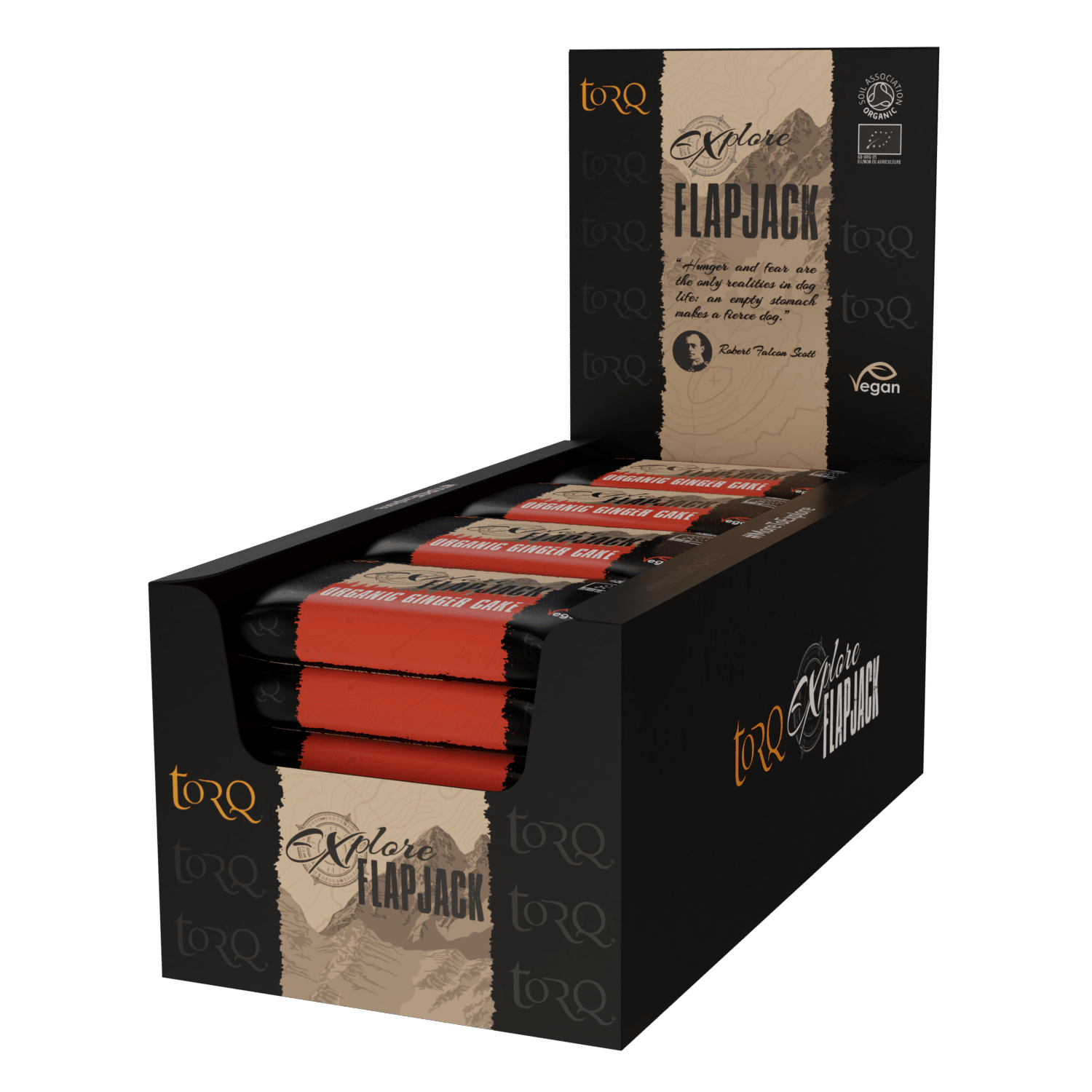 organic-flapjack-ginger-cake-box-e-power